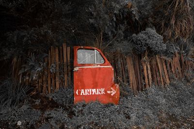Text on tree trunk