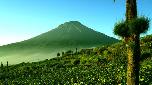 Scenic view of mountains against clear blue sky