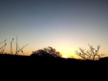 Silhouette plants on field against clear sky during sunset