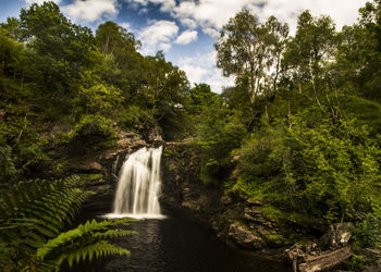 Waterfall in forest