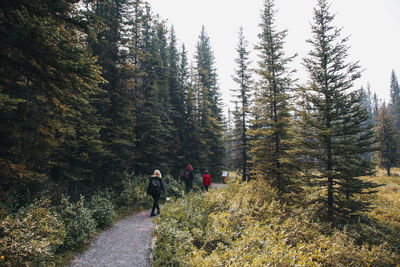 Women and children hiking along a trail in the woods