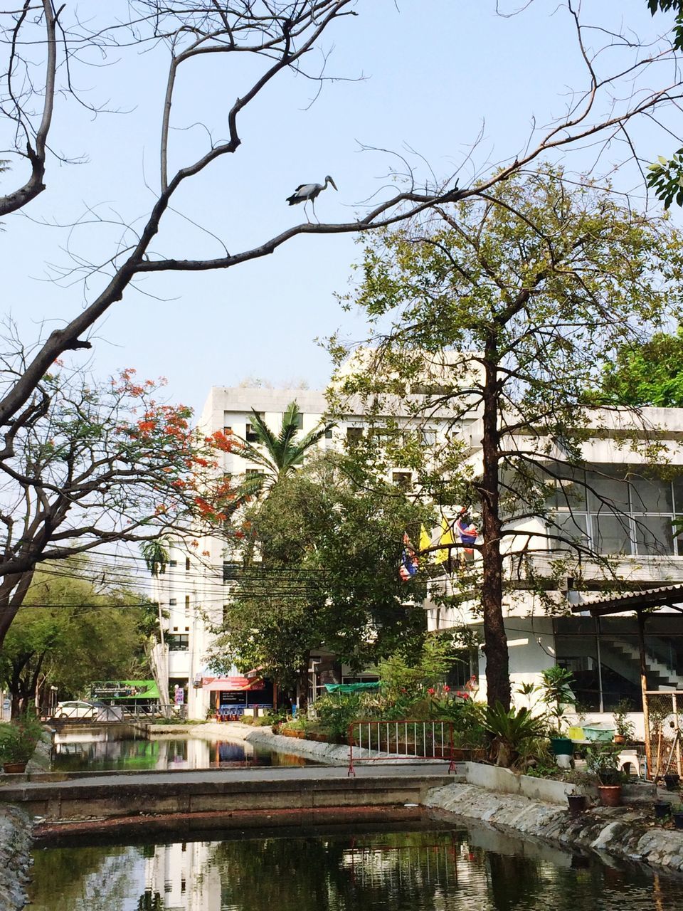 architecture, building exterior, built structure, tree, water, city, branch, canal, residential building, river, residential structure, building, sky, bare tree, bridge - man made structure, railing, reflection, growth, day, house