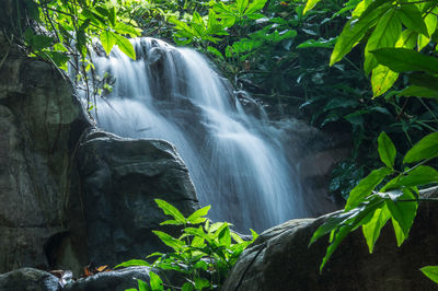 Scenic view of waterfall