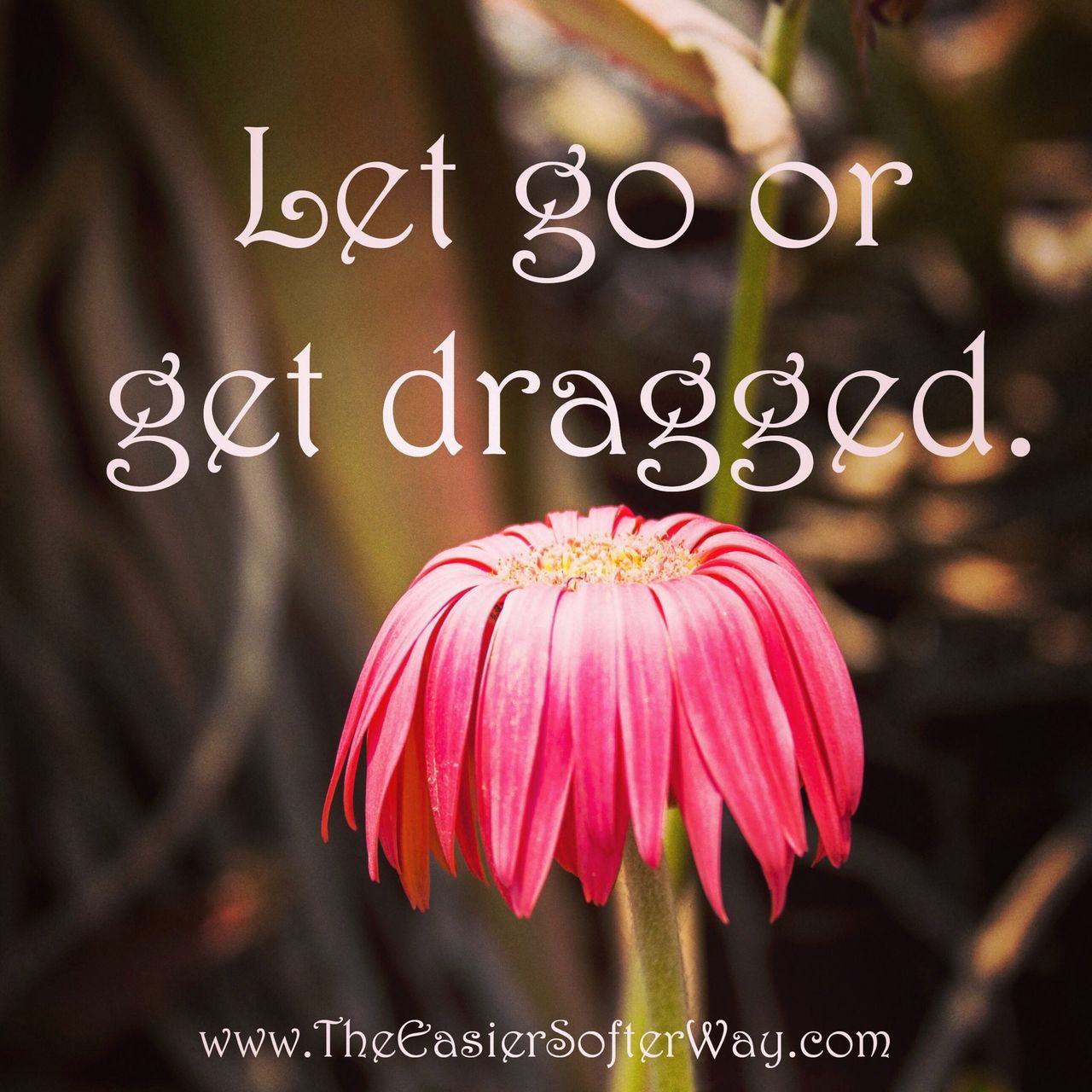 Let go