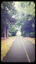 Empty road along trees