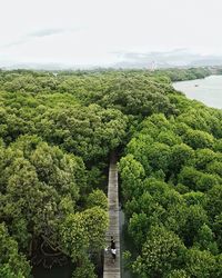 Plants growing on landscape against sky