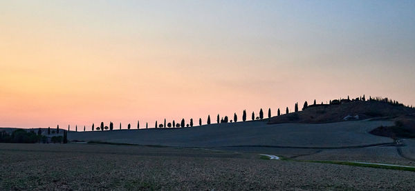 Scenic view of field against clear sky during sunset