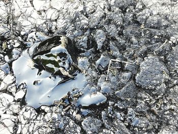 High angle view of frozen lake during winter