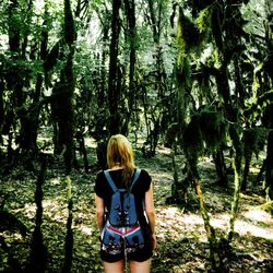 Rear view of young woman standing in forest