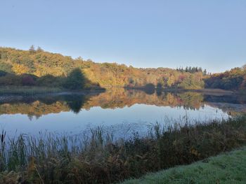 Scenic view of lake by trees against sky