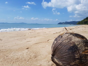 Scenic view of beach against sky