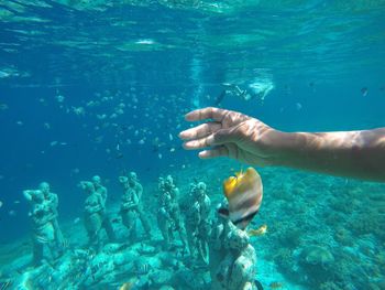 Close-up of hand by fish underwater