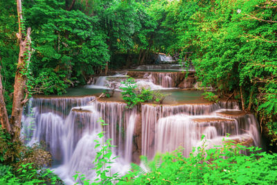 Scenic view of waterfall in forest