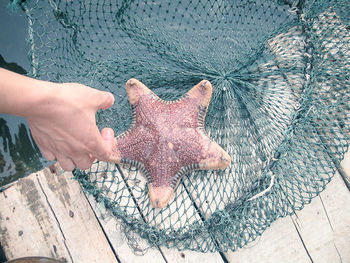 Cropped image hand reaching starfish in net