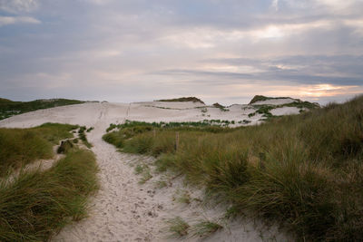 Beach at the coastline of amrum, north frisia, germany