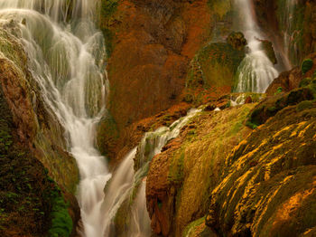 View of waterfall in forest