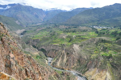 Scenic view of agricultural landscape