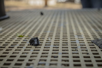 Close-up of insect on metal footpath