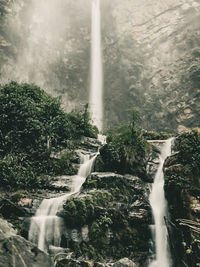 Scenic view of waterfall in forest