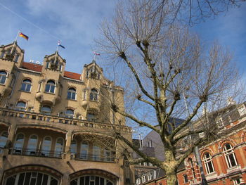 Low angle view of tree and building against sky