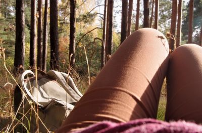 Low section of woman relaxing on tree trunk