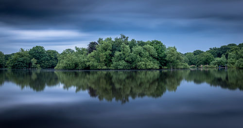 Reflection of trees in connaught water