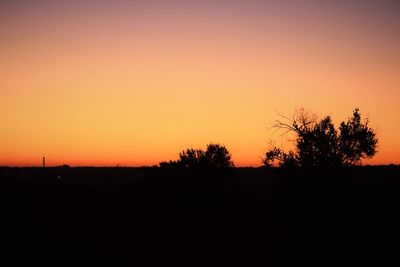 Silhouette trees on landscape against orange sky