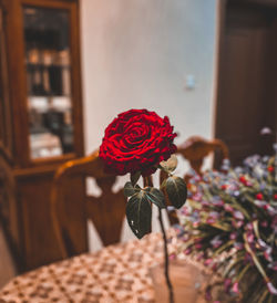 Midsection of woman holding bouquet