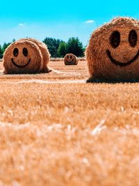 Hay bales on field against sky