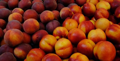 Full frame shot of oranges