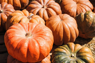 Full frame shot of pumpkins