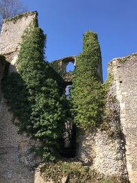 Low angle view of damaged plants against sky