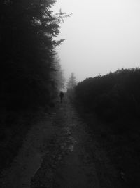 Man walking on road amidst trees against sky