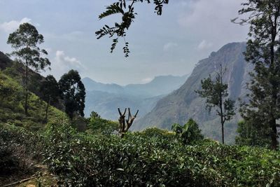 Scenic view of lake against mountain range