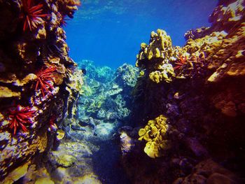 Rocks in sea