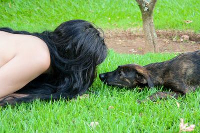 Dog relaxing on grassy field