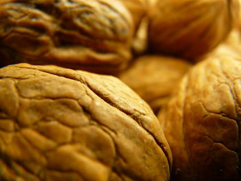 Walnuts are the seeds of the plant drupe