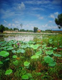 Scenic view of lake against sky