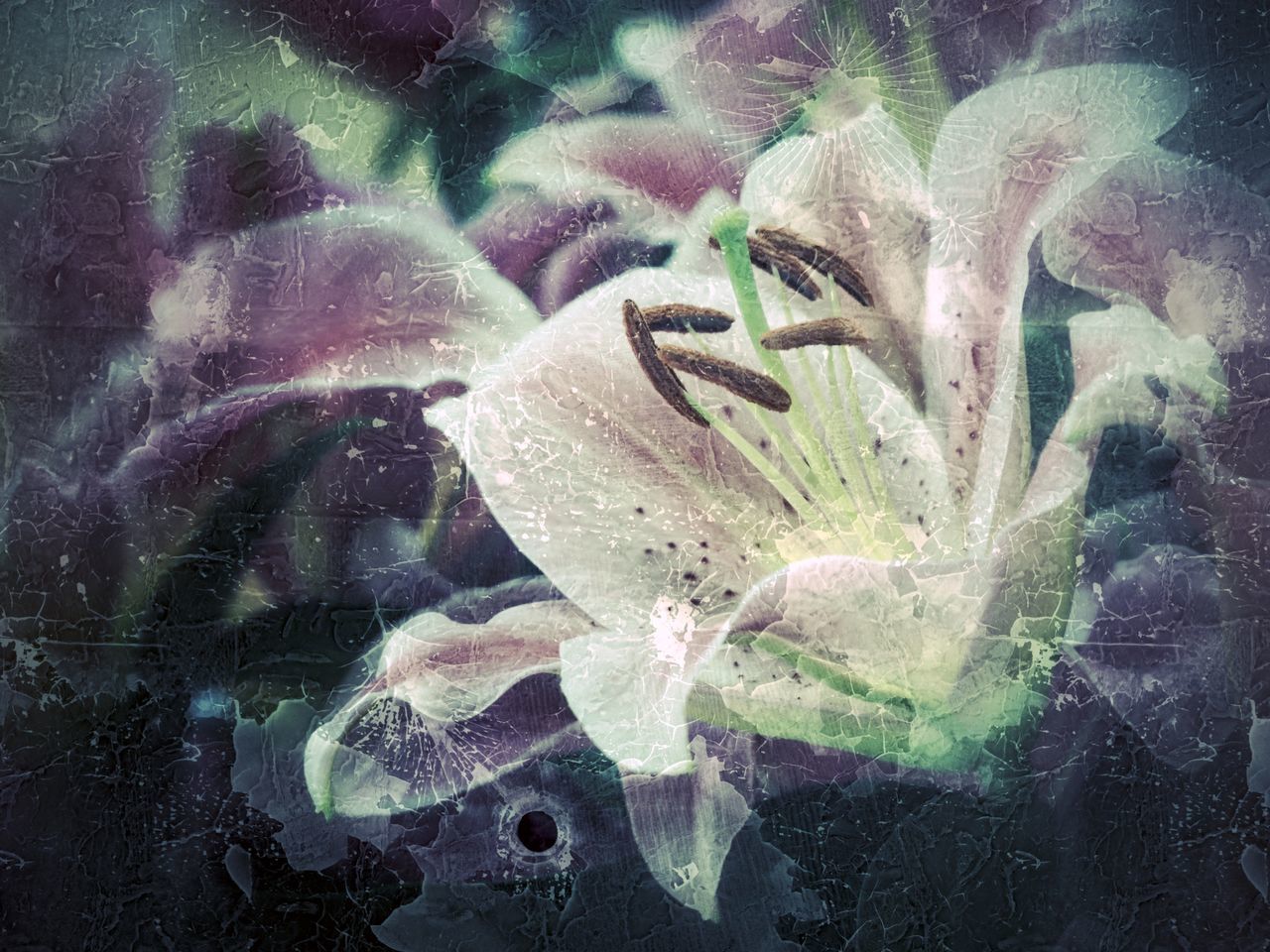 DIGITAL COMPOSITE IMAGE OF FLOWER AND GLASS