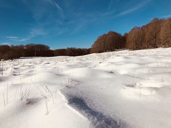 Scenic view of snow covered field against sky