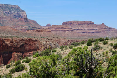 Scenic view of grand canyon