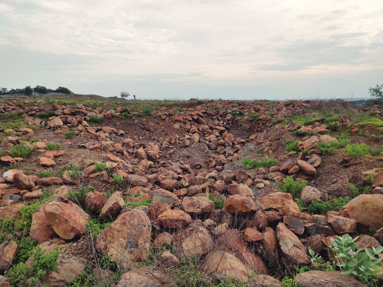 rock, soil, sky, environment, landscape, natural environment, cloud, nature, geology, land, scenics - nature, wilderness, no people, non-urban scene, plant, beauty in nature, tranquility, travel destinations, plateau, outdoors, terrain, day, hill, tranquil scene, horizon, travel, desert, tourism