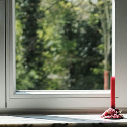 Close-up of glass window on tree