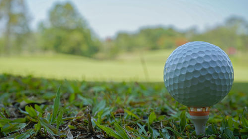 Golf ball on grass