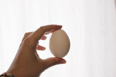 Close-up of hand holding egg against white background