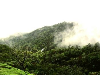 Scenic view of forest against sky