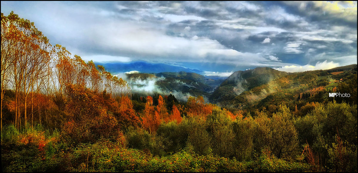 tree, sky, mountain, tranquil scene, scenics, beauty in nature, tranquility, cloud - sky, nature, growth, landscape, cloudy, mountain range, cloud, idyllic, autumn, non-urban scene, season, forest, no people