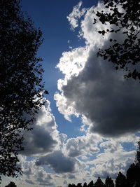 Low angle view of silhouette trees against blue sky