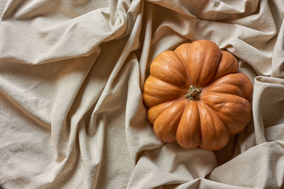 High angle view of pumpkins on bed