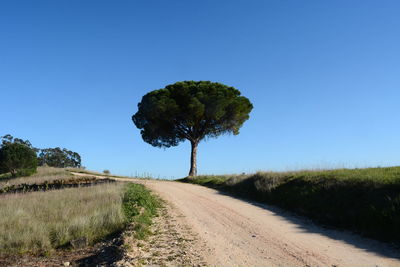 Single tree on landscape against clear blue sky